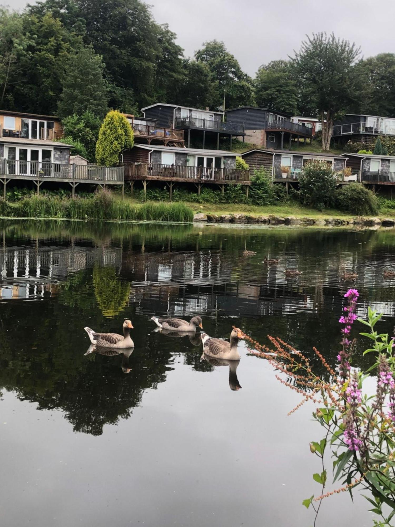 Chalet 64, Lakeside, Glan Gwna Holiday Park Карнарвон Экстерьер фото